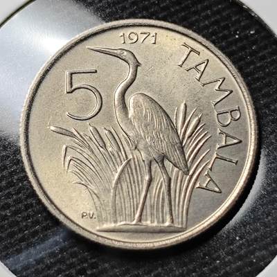KK钱币收藏小铺 第338场 2月预留时间 周末发货 -  1971马拉维5坦巴拉 