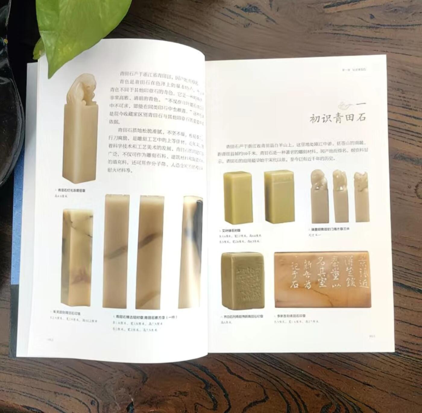 收藏类书藉专场