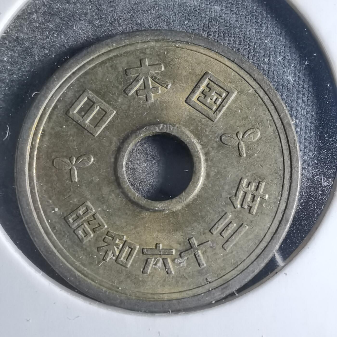 沼泽如烟--第841场