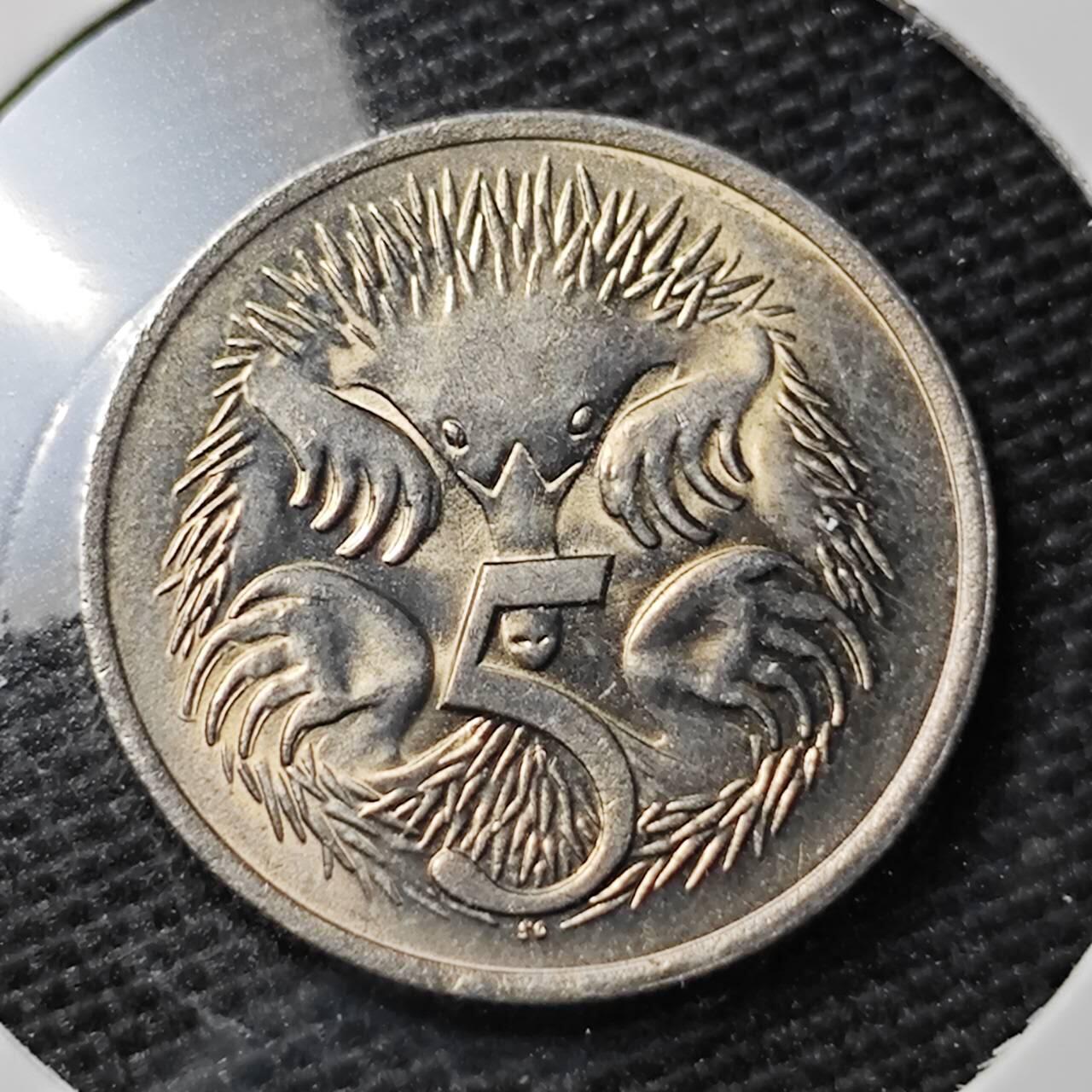 KK钱币收藏小铺 第338场 2月预留时间 周末发货  1982澳大利亚5分好品