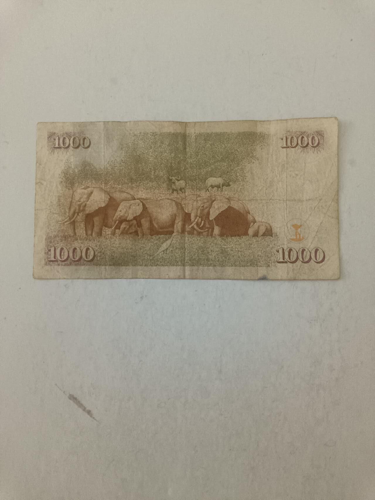【20250919】非全新纸币第287场 肯尼亚2010年1000先令，汇率价约为55元