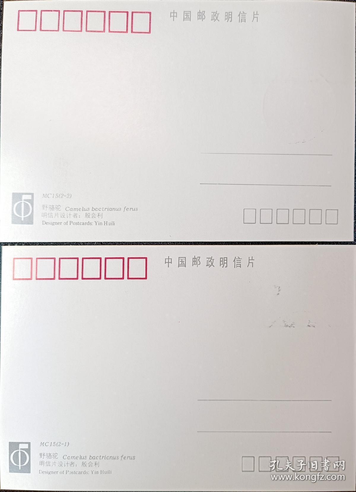 ↓君缘收藏594期☞钱币邮品↓无佣金、可寄存、满30元包邮  极限片，集邮总公司 MC-15 野骆驼 极限明信片