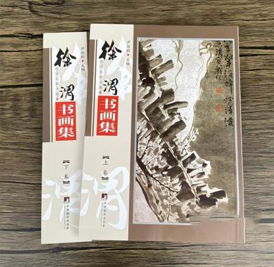 名家书画集专场（全糸列） - 徐渭书法集 全新正版 上下二册 铜版彩印