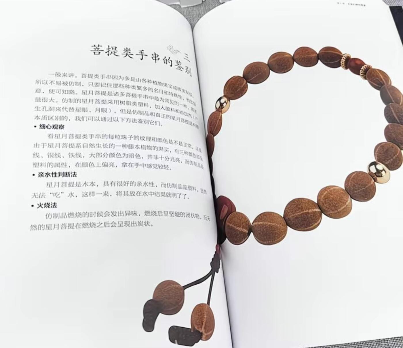 收藏类书藉专场