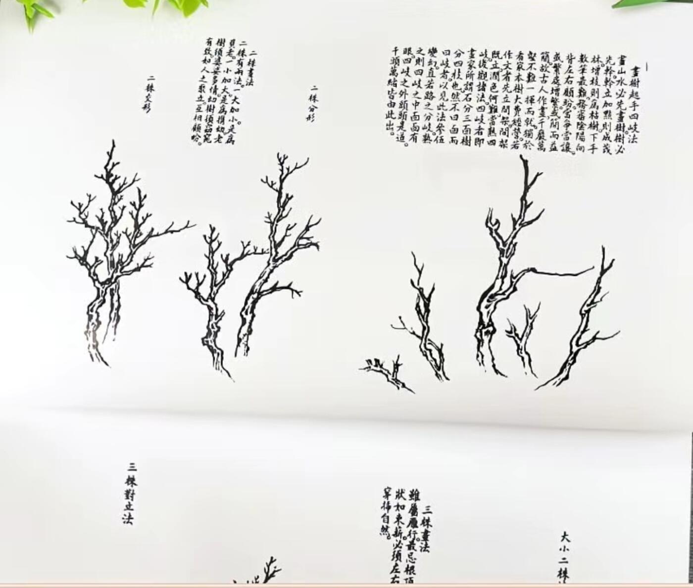 名家书画集专场（全糸列） 介子园画谱 全新正版 上下二册 铜版彩印