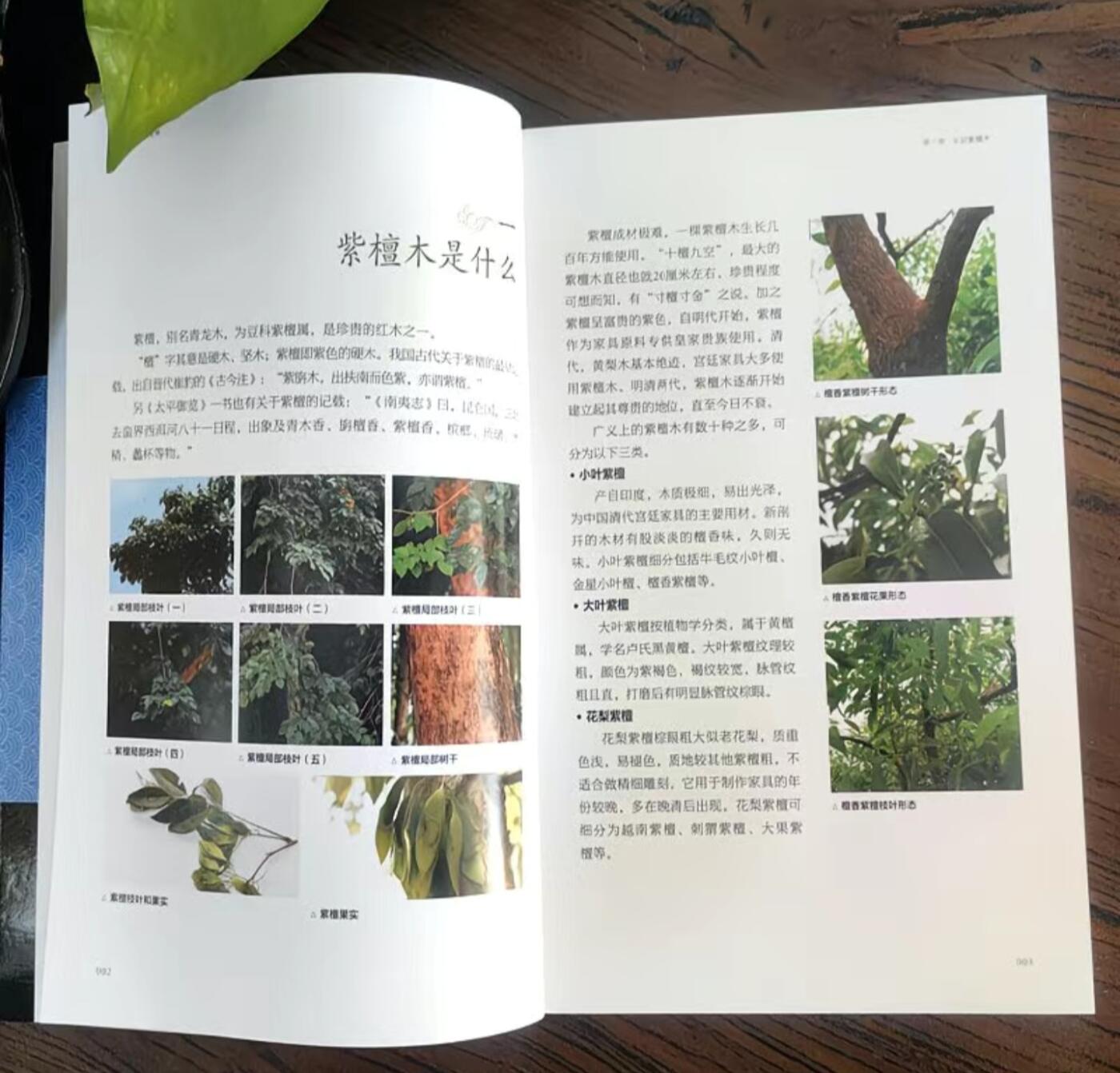 收藏类书藉专场