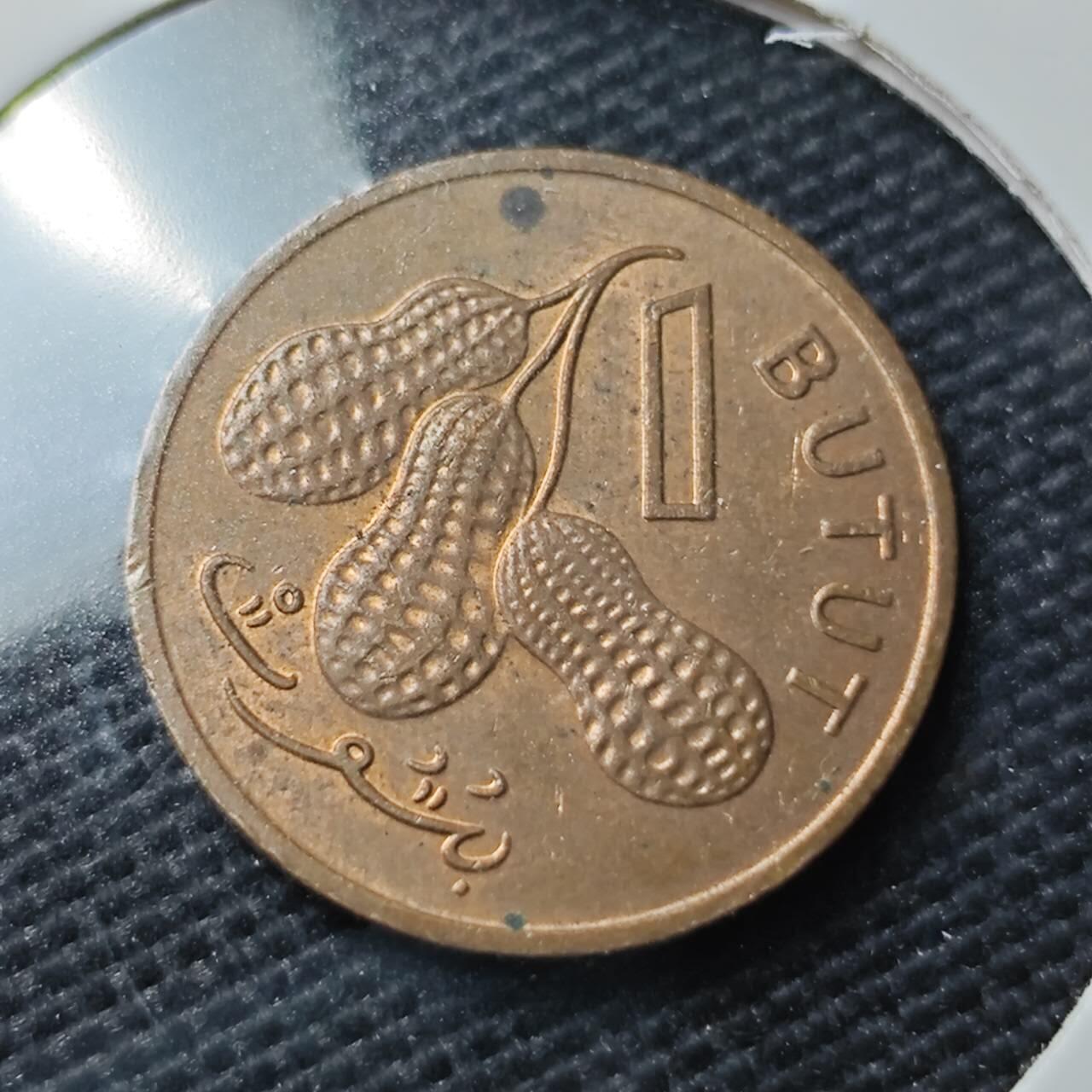 KK钱币收藏小铺 第337场 2月预留时间 周末发货 1971冈比亚1布图铜币