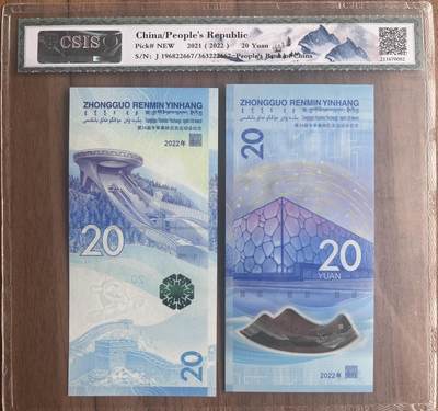 雪上运动项目纪念钞+冰上运动项目纪念钞 2枚一套222667 - 雪上运动项目纪念钞+冰上运动项目纪念钞 2枚一套222667