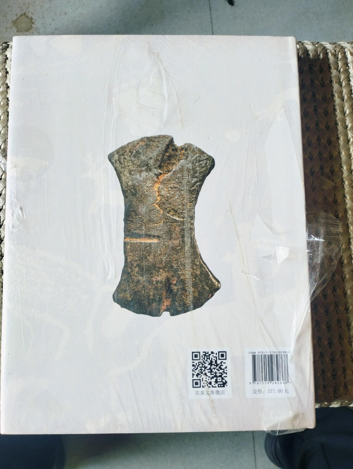 西夏钱币集 全新正版未拆封