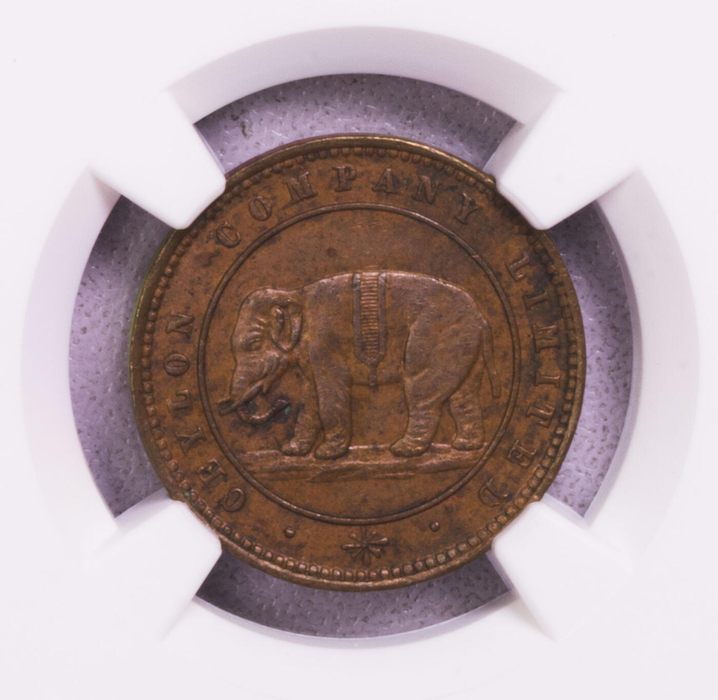NGC-MS64BN/62BN 1866锡兰大象代用币三枚套