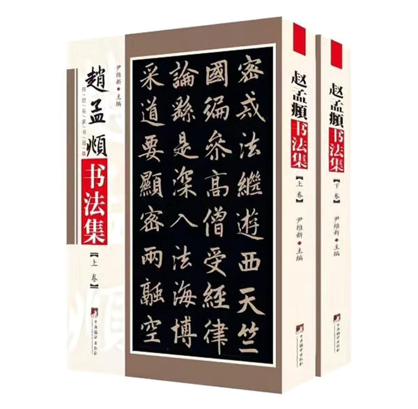 名家书画集专场（全糸列） 赵孟頫书法集 全新正版 上下二册 铜版彩印