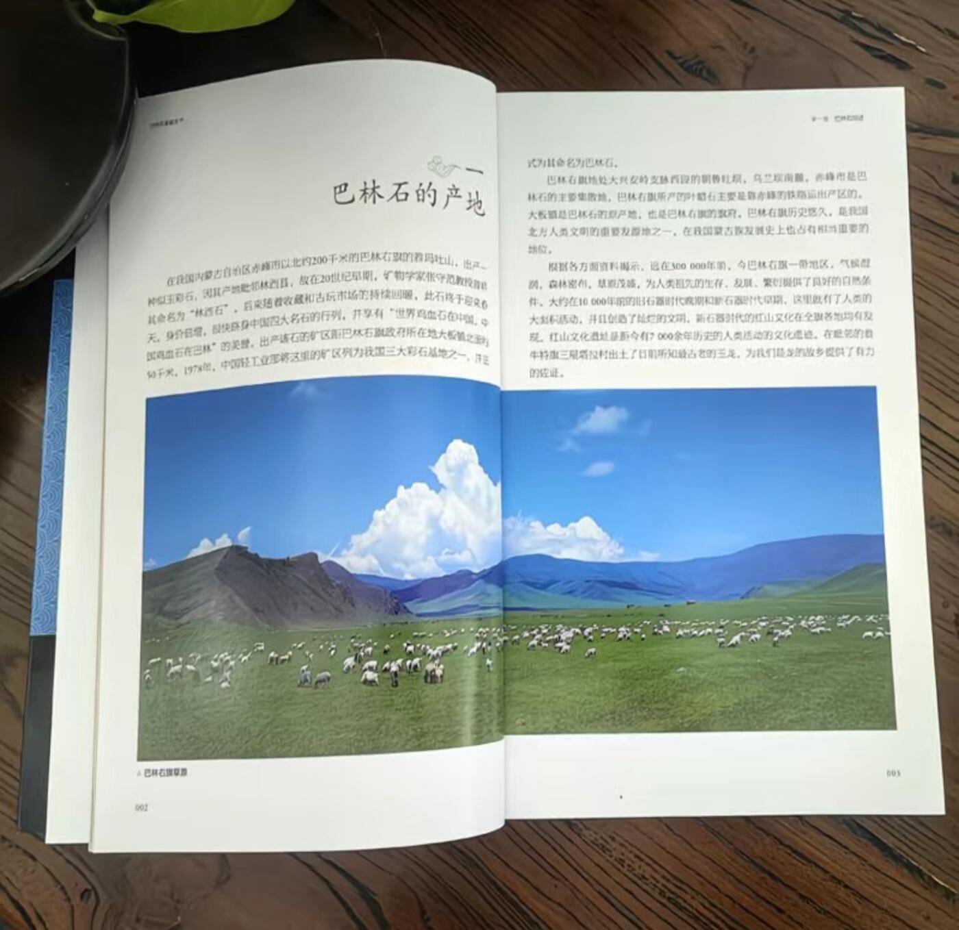 收藏类书藉专场