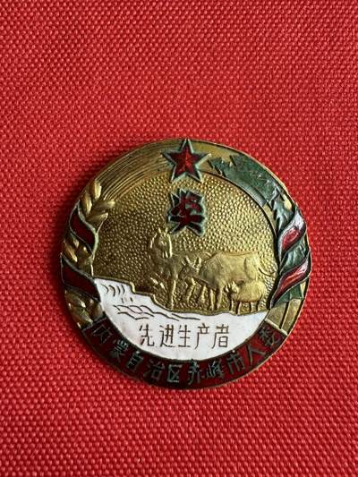 五哥徽章群   17号周三晚上八点4群联拍 - 内蒙古赤峰奖章