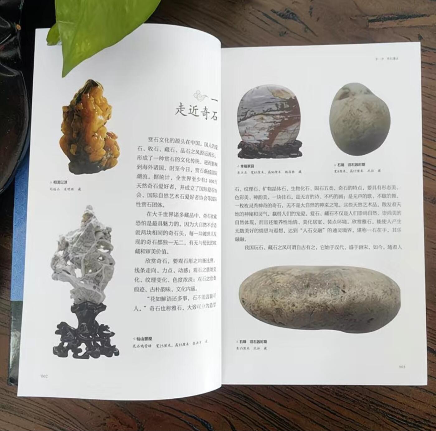 收藏类书藉专场