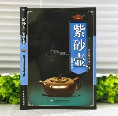 精品粗陶壶专场 - 紫砂壶鉴藏全书 全新正版