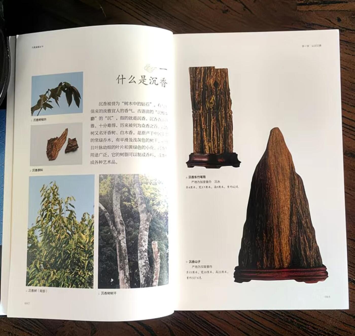 收藏类书藉专场