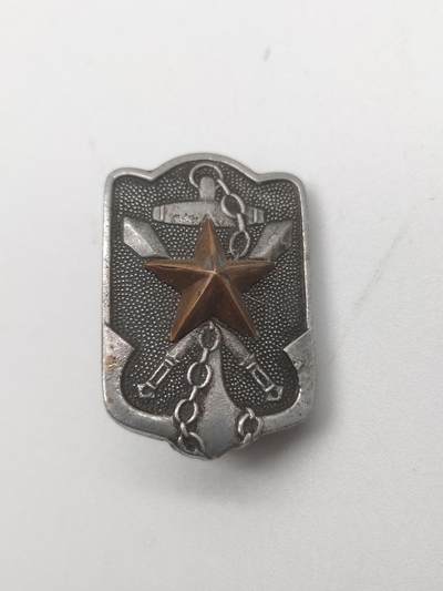 旧纸杂项拍卖专场 - 帝国在乡军人会会员章小号 抗战收藏 古董胸针 老胸章 历史原品保证 铜星镶嵌胸章 老纪念章 最后一图有相关介绍