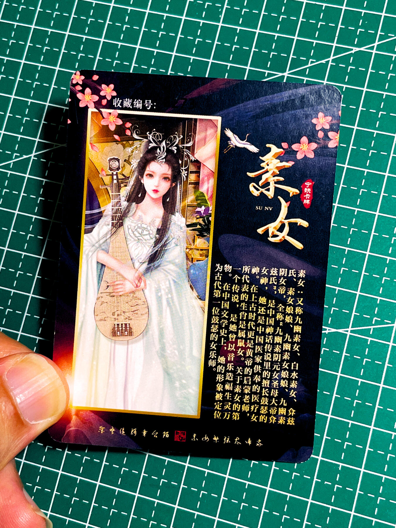 【关注参拍有赠卡】显眼宝32期  9.17日晚22:00结束