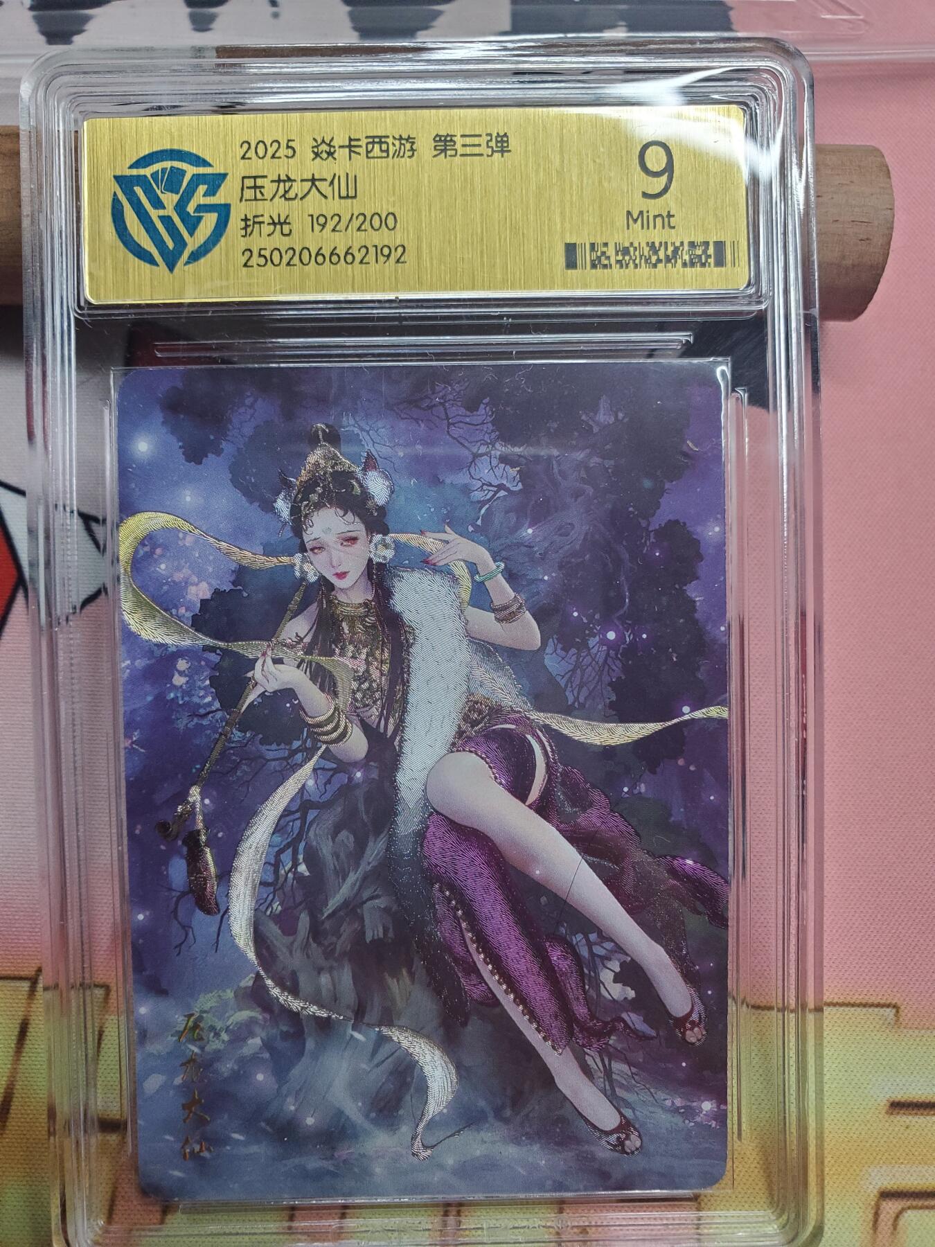 樱桃卡拍008场 