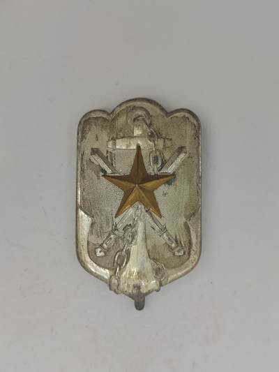 旧纸杂项拍卖专场 - 帝国在乡军人会会员章大号 抗战收藏 古董胸针 老胸章 历史原品保证 铜星镶嵌胸章 老纪念章 最后一图有相关介绍