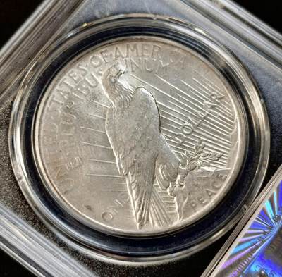 甄臻铺-世界币章拍卖（第34期），送拍享返佣金等优惠多多 公博-MS63 美国1923年 和平银币