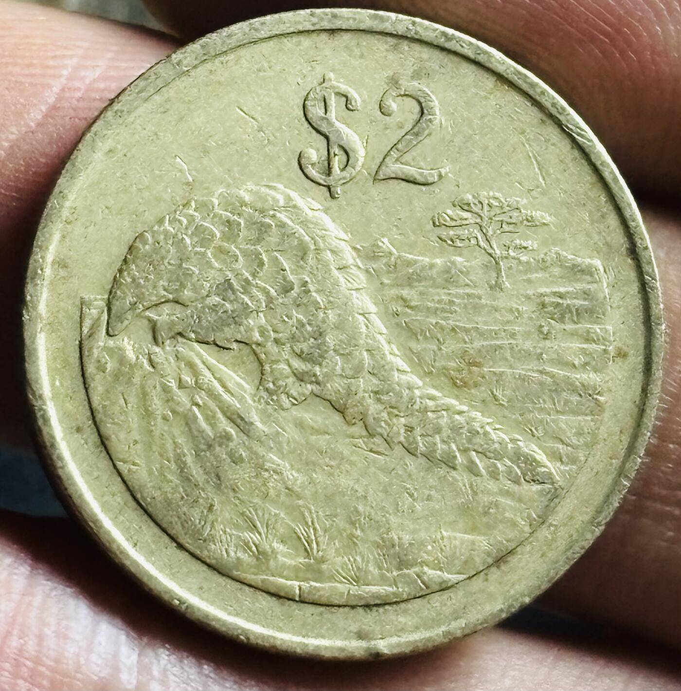 文馨钱币收藏第 272 场， 长期接收代拍品