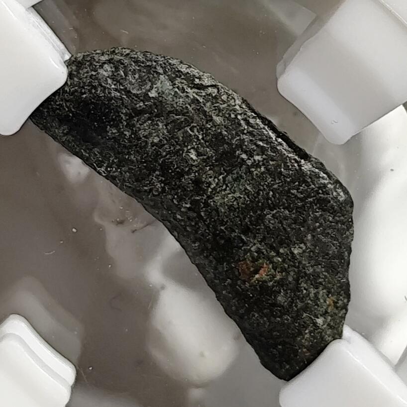 希腊罗马丝路打制币化石【中外钱币放漏】专场！陆小鱼的钱币仓，限时拍卖第079场 古希腊 奥尔比亚海豚铜币