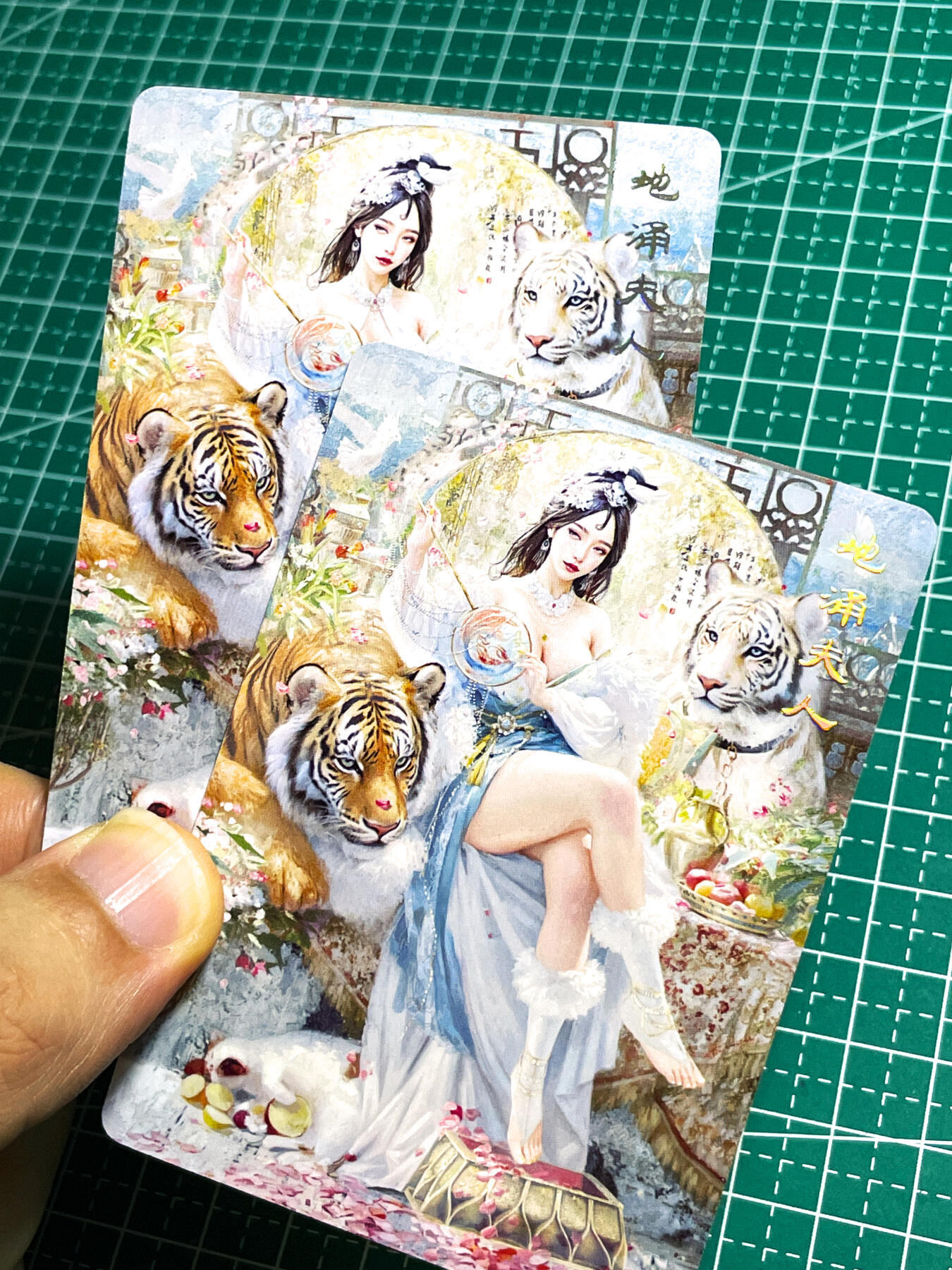 【关注参拍有赠卡】显眼宝32期  9.17日晚21:40结束