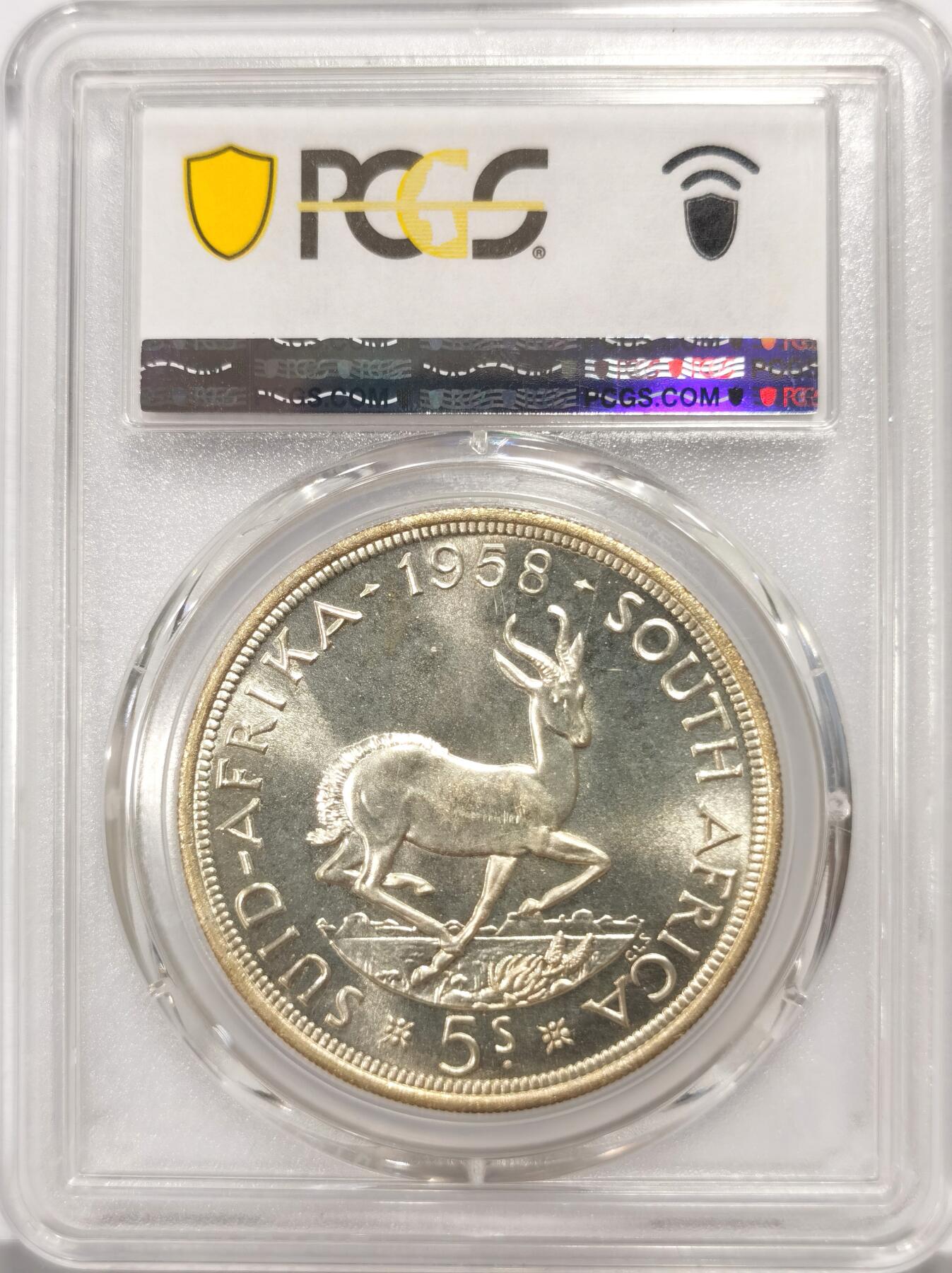 博洋堂世界钱币拍卖第140期（全场包邮） PCGS MS66 英属南非1958年伊丽莎白5先令银币，铸币23.3万枚，PCGS唯一最高分，2025年EBAY销售价2326元，正面女王头像，背面跳羚，两面车轮转光，收藏品级