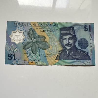 🌹外币初藏🌹🐯2025年第104场  每周二四六晚8️⃣点 接代拍 - 文莱1996年¥1 b