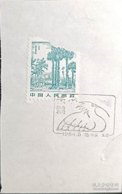 ↓君缘收藏596期☞钱币邮品↓无佣金、可寄存、满30元包邮  - 戳卡，1984年北京 ·朱鹮鸟纪念戳卡