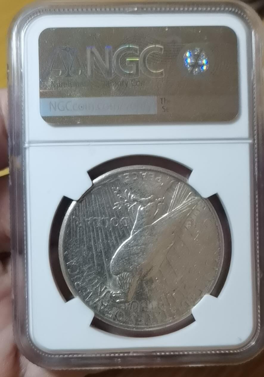 928金秋场