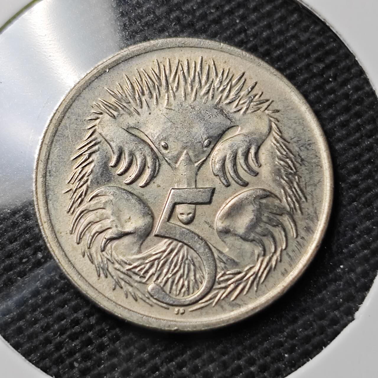 KK钱币收藏小铺 第339场 2月预留时间 周末发货 1969澳大利亚5分 