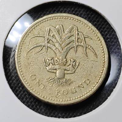 KK钱币收藏小铺 第341场 2月预留时间 周末发货 - 1985英国1镑 
