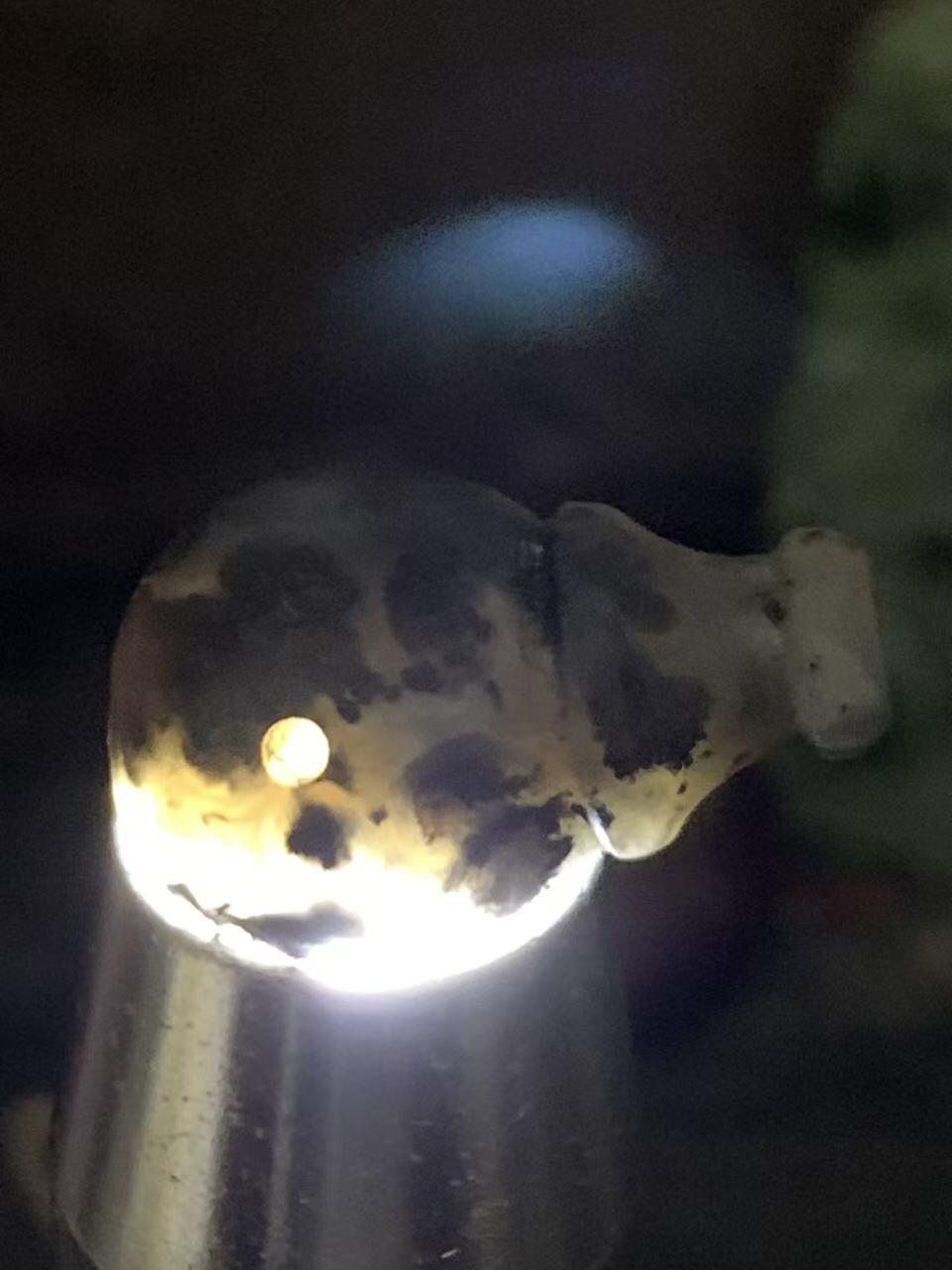 精美罕见亚光蓝白玉髓九眼页岩一体佛头三通一颗