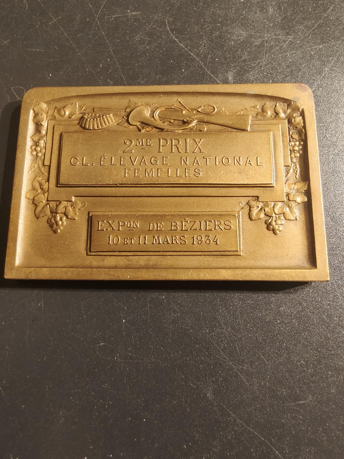 老王徽章第150期 法国朗格多克犬类协会展览方形大铜章    尺寸59×40mm   重量63.6g    1934年   带盒子