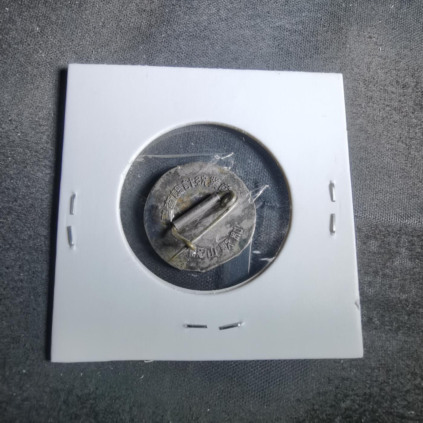 沼泽如烟--第846场 统计调查员胸章