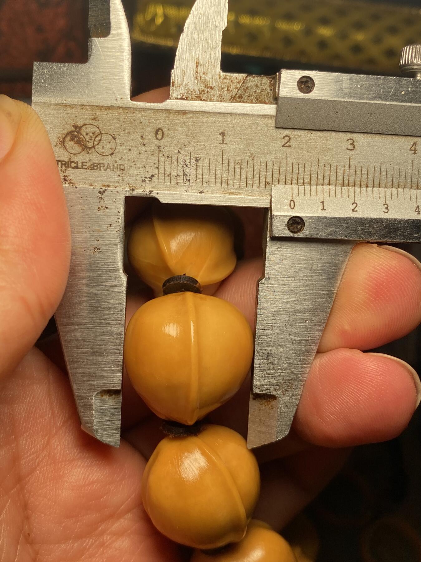 苏工核雕手作与你有缘 亏本清仓苏工核雕纯手工雕刻，满城尽带黄金甲铁核鱼背，短圆，原桩，个性饱满，尺寸2。1x2.15左右好玩又立体，喜欢的来