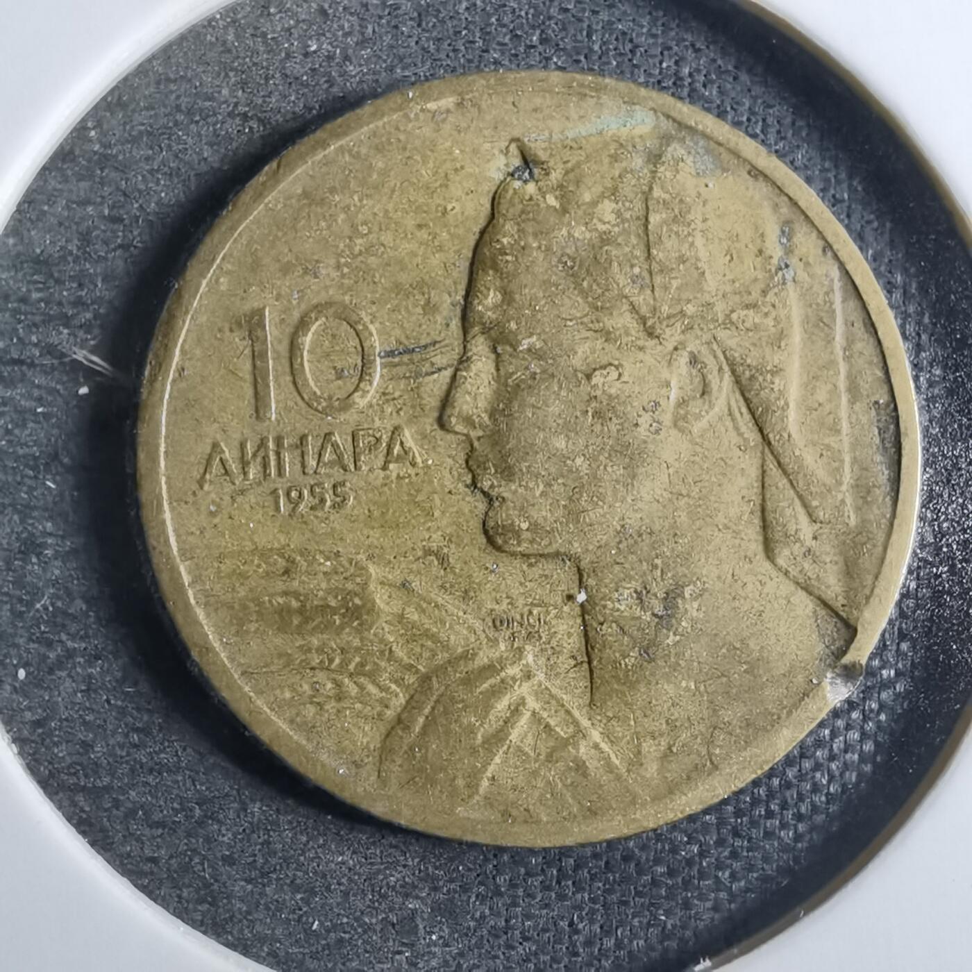沼泽如烟--第846场 南斯拉夫1955年10第纳尔