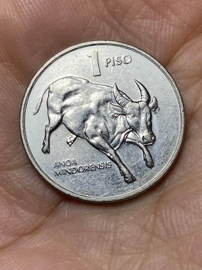 2025年第九十三场(总第一百一十九场）外国好品散币(免佣金) - 菲律宾🇵🇭1994年1比索(缩小尺寸版)