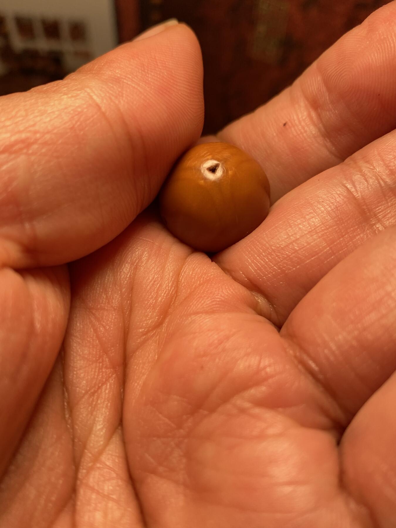 苏工核雕手作与你有缘 福利苏工核雕，纯手工雕刻，水滴短圆三通，个性十足，等待有缘人，市场无同款，尺寸1。7x1.85喜欢的来