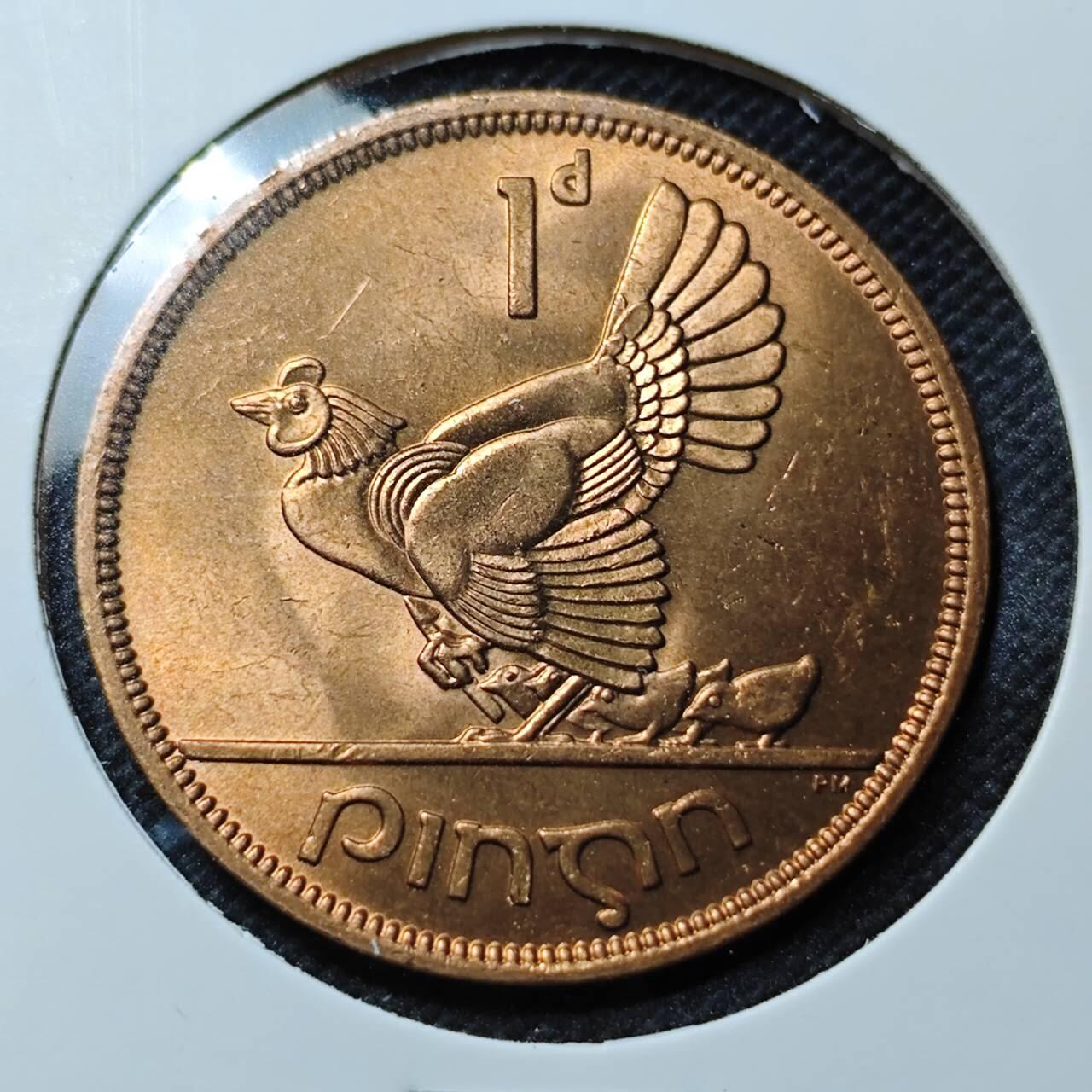 KK钱币收藏小铺 第342场 2月预留时间 周末发货  1968爱尔兰1便士 母鸡铜币！