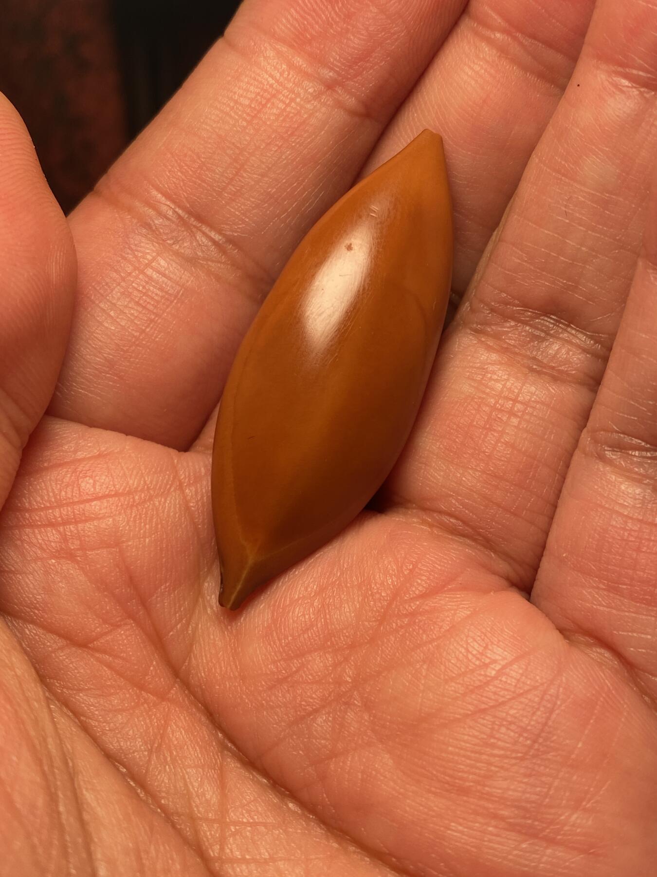 苏工核雕手作与你有缘