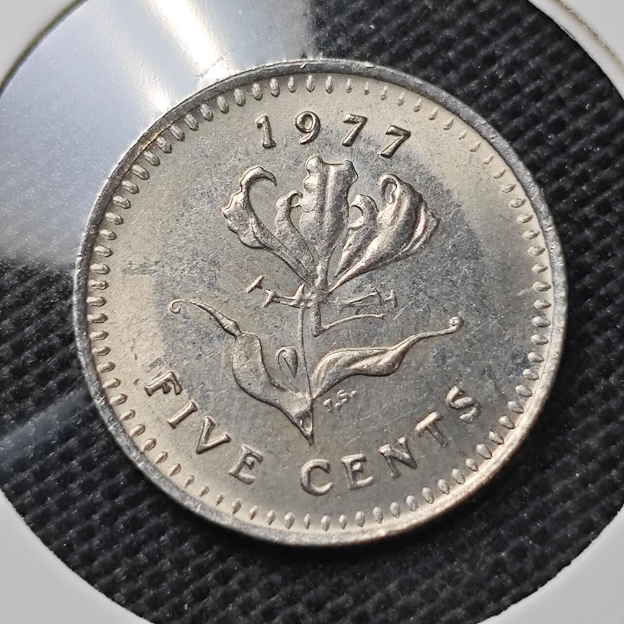 KK钱币收藏小铺 第334期 2月预留时间 周末发货 1977罗得西亚5分镍币 
