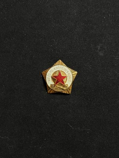 铭记历史！以史为鉴！戎马世界章牌大赏第104期 - 匈牙利人民共和国金级“军事政治训练优秀”胸章
