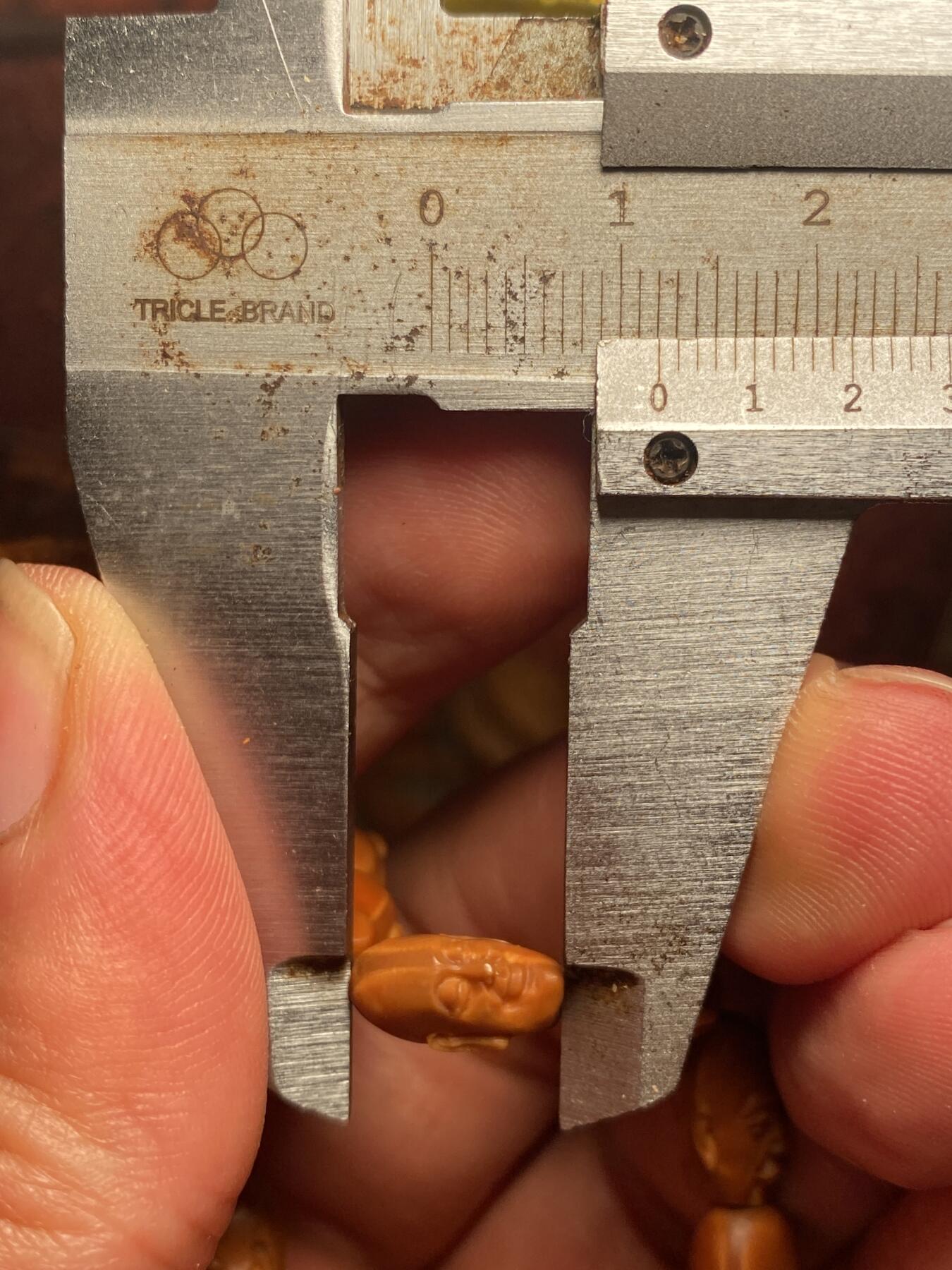 苏工核雕手作与你有缘 苏工核雕，微型小籽纯手工十八罗汉，个性好玩，写实风格，喜欢的来价不贵，尺寸0。75x1.2