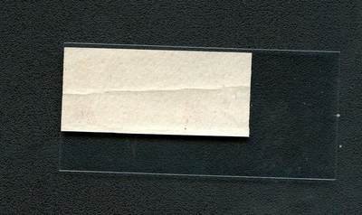 沧河堂045 1977年 江苏省絮棉票 一斤 样票