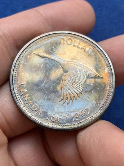 《竞宝斋》第420场 周日，周一，周二  3场连拍 （全场包邮） 加拿大1967年大雁1元银币