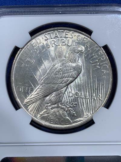 《竞宝斋》第420场 周日，周一，周二  3场连拍 （全场包邮） NGC MS64 美国 1923 一美元 和平银币 双面强转光，光感不输65分，个人送评略压分，喜欢转光的不容错过。