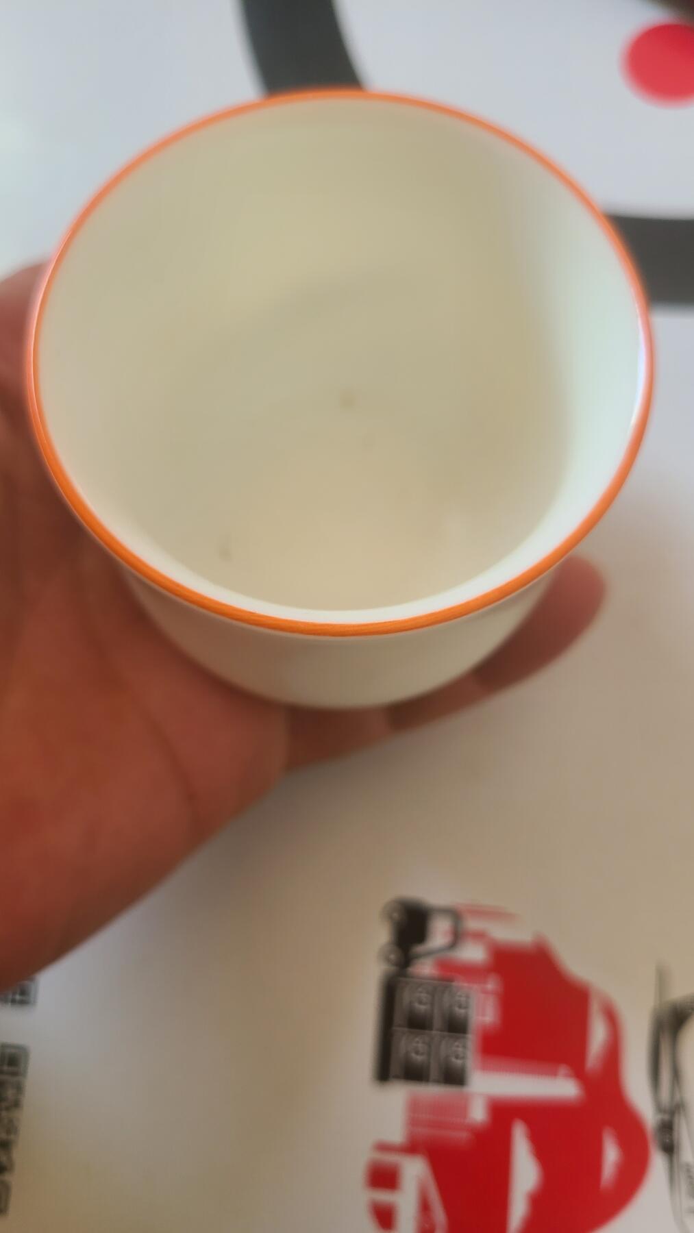 主人杯